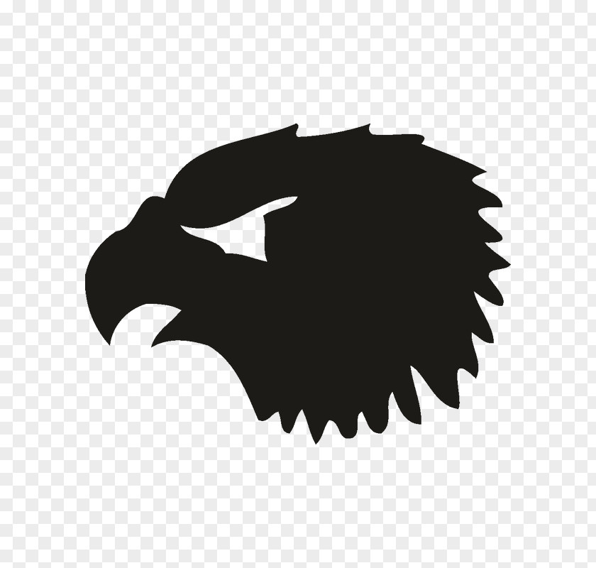 Eagle Old School Logo Silhouette Font Black M PNG