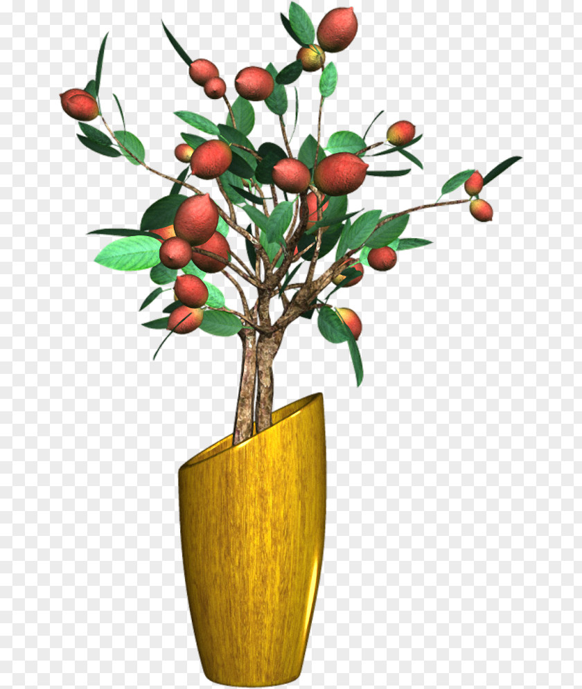 Plant Flowerpot PNG