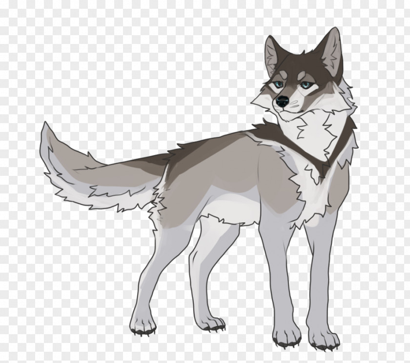 Saarloos Wolfdog Czechoslovakian Siberian Husky Jackal Drawing PNG