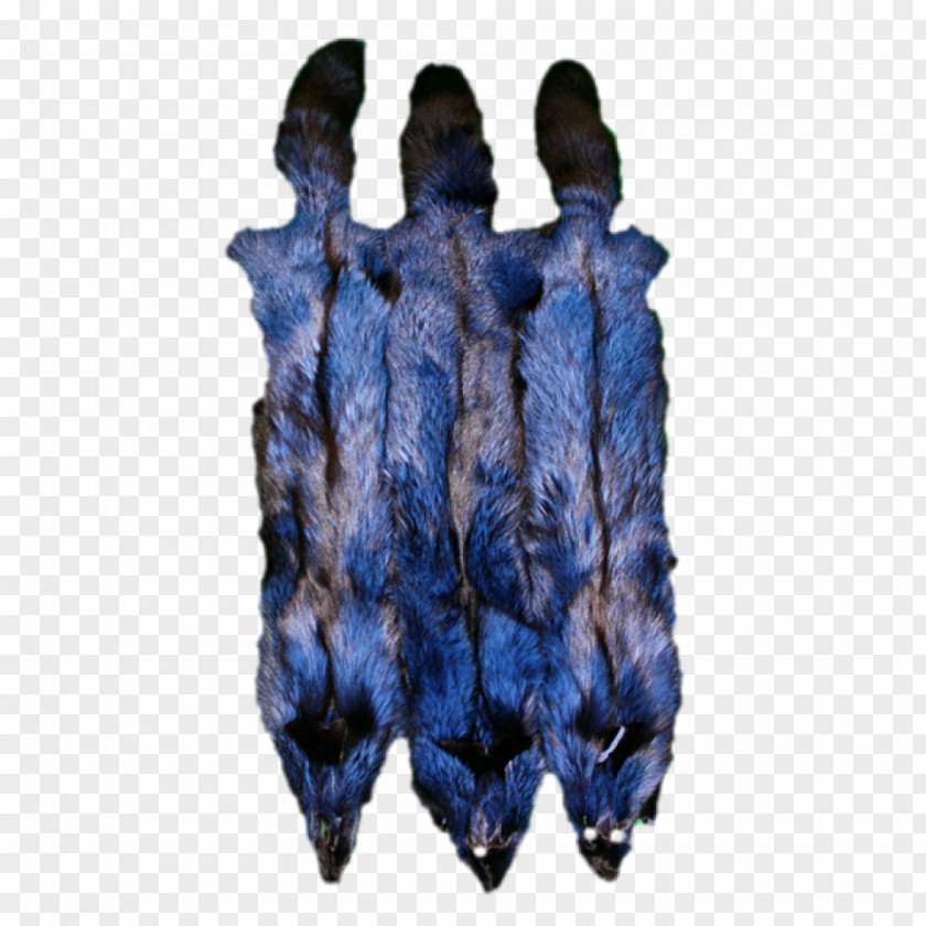 Silver Fox Cobalt Blue Fur PNG