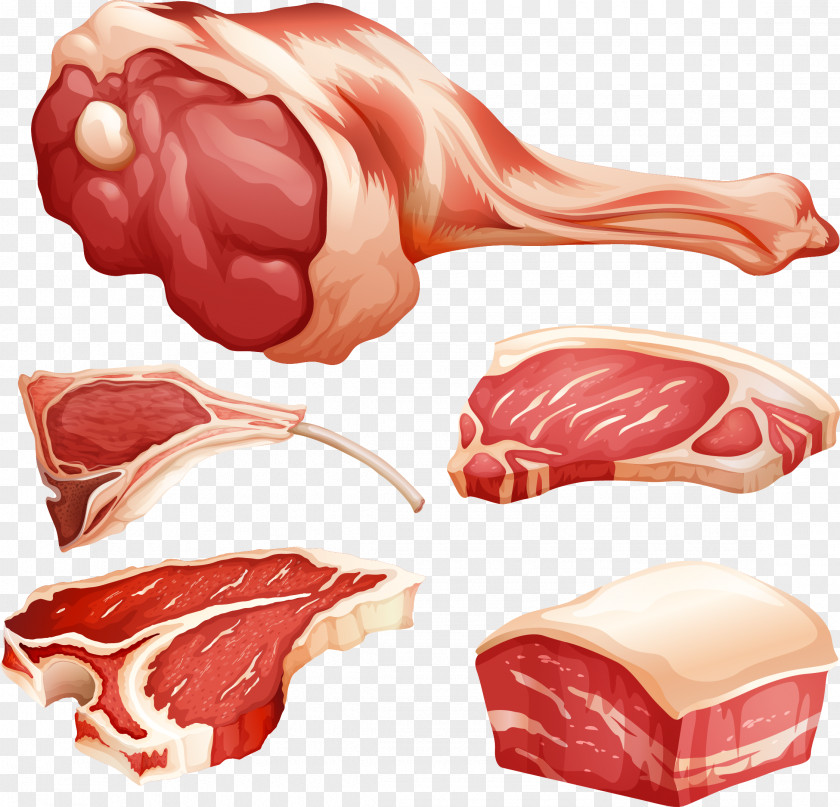 Vector Meat Royalty-free Food Illustration PNG