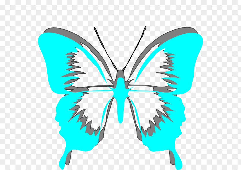 Butterfly Brush-footed Butterflies Moth Stencil Clip Art PNG
