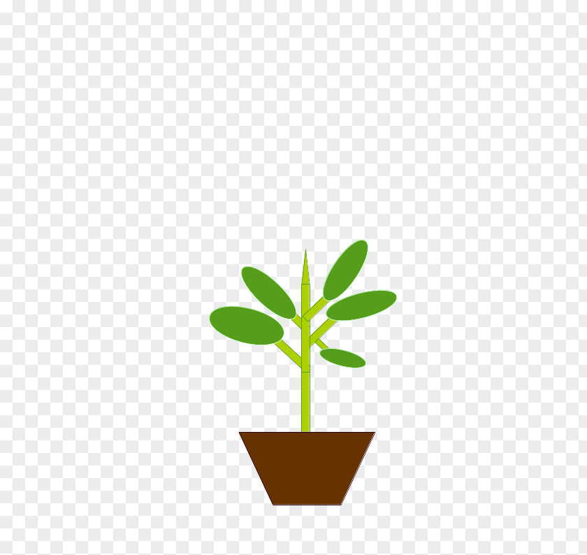 Leaf Flowerpot Plant Stem Clip Art PNG