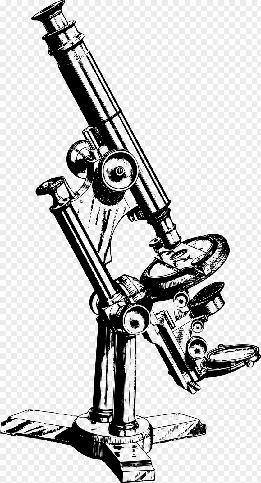 Microscope Drawing Clip Art PNG