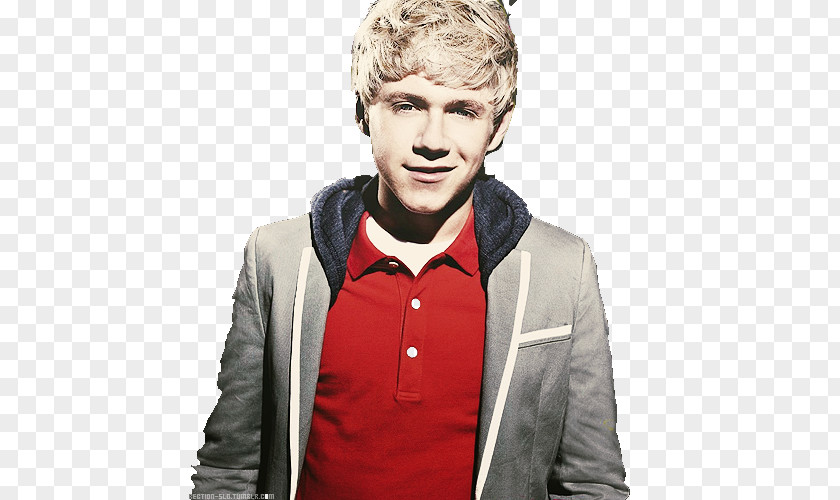 Niall Horan The X Factor One Direction Photography PNG