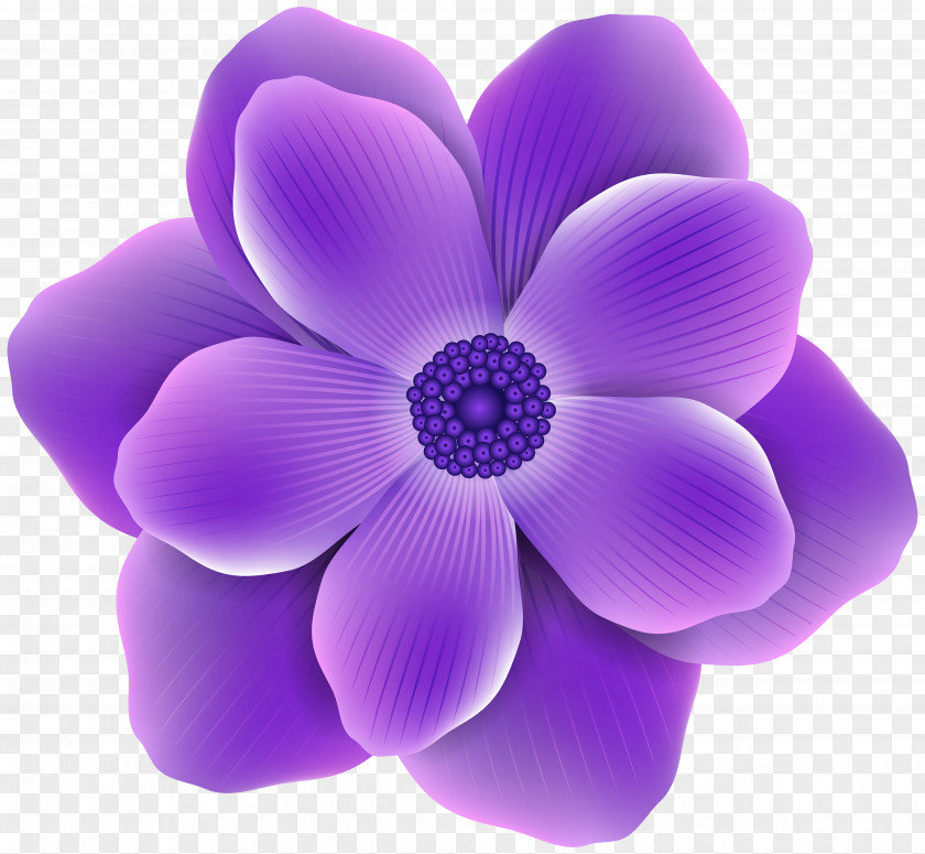 Purple Flower Clip Art Image PNG