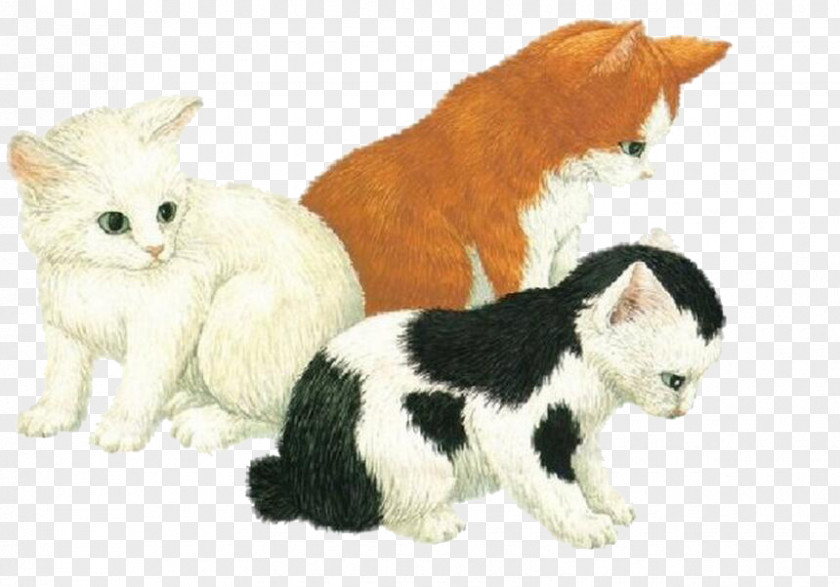 Three Cats Cat Kitten PNG