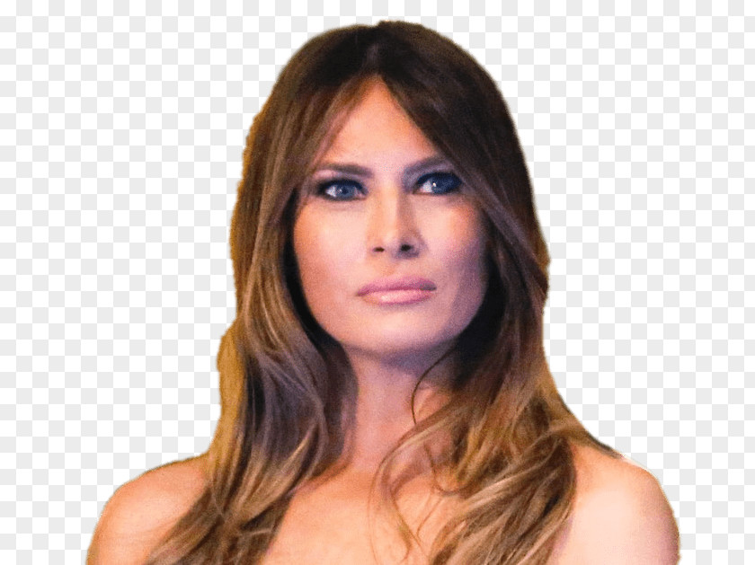 White House Melania Trump Funny Face YouTube Clip Art PNG