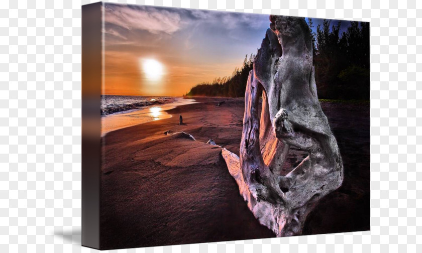 Beach Sunset Stock Photography Wood Heat /m/083vt PNG