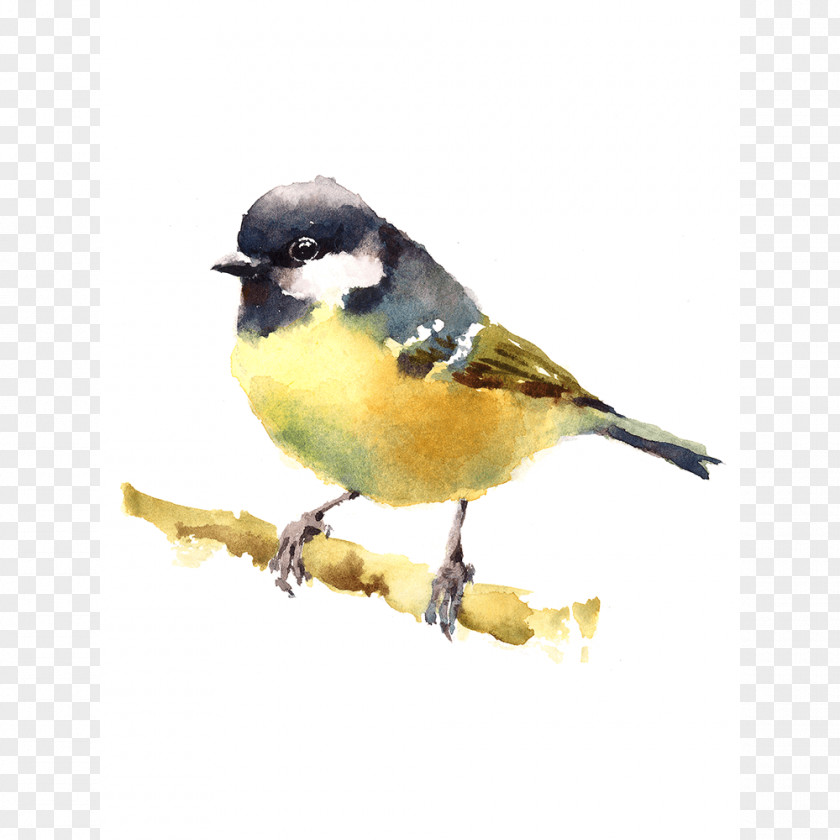 Bird Watercolor Painting Drawing Art Museum PNG