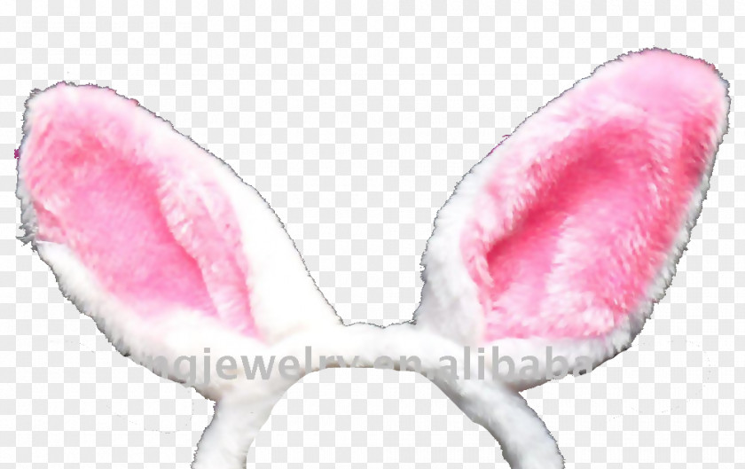 Bunny Ear Rabbit PNG