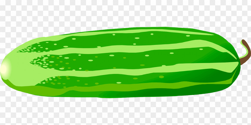 Fresh Cucumber Pickled Vegetable Clip Art PNG