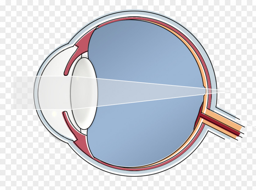 Mennen & De Cock Contactlenzen Human Eye PNG