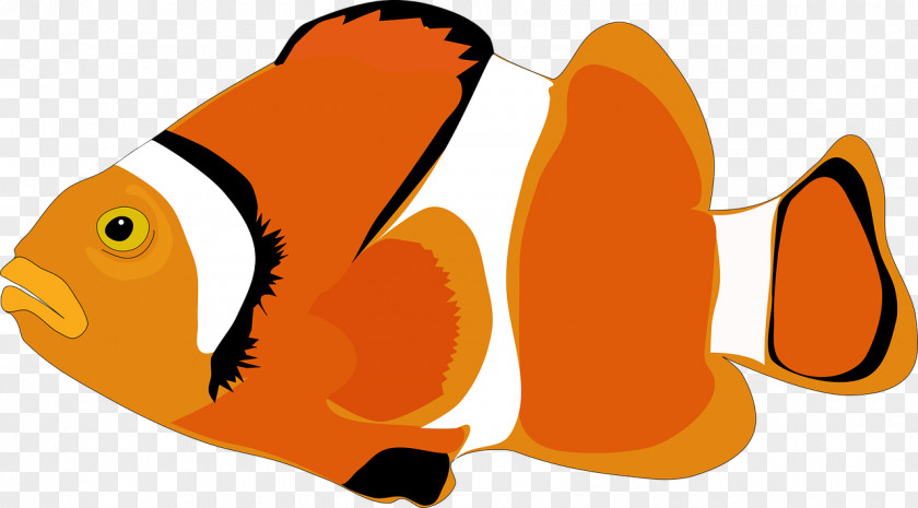 Orange Ornamental Fish Cartoon Clip Art PNG