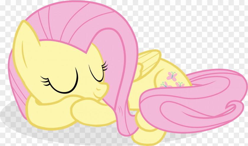 Rainbow Dash Fluttershy Twilight Sparkle Pony Pinkie Pie PNG