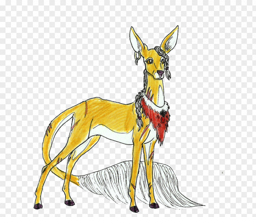 Reindeer Canidae Springbok Horse Kangaroo PNG