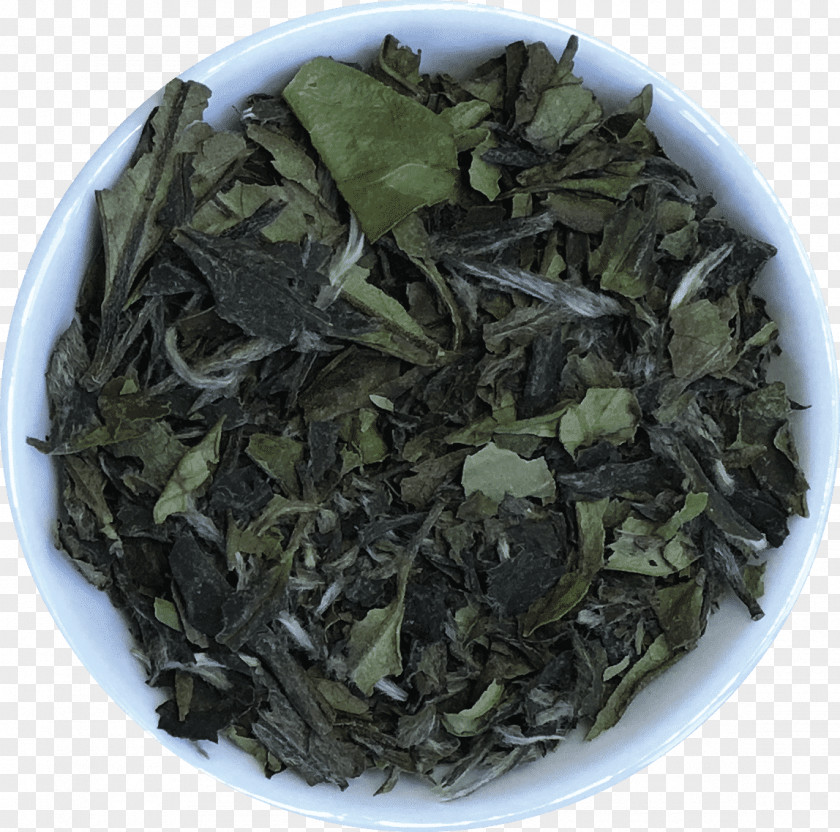 Tea Gyokuro Nilgiri Oolong Darjeeling White PNG
