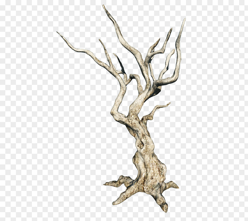 Tree Twig Clip Art PNG