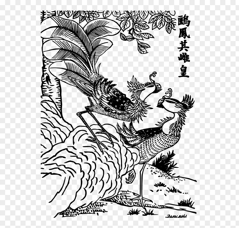 China Legendary Creature Coloring Book Fenghuang Phoenix PNG