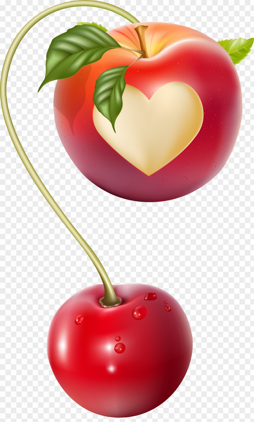 Creative Apple Cherry Color Knot Vector Is Longer PNG