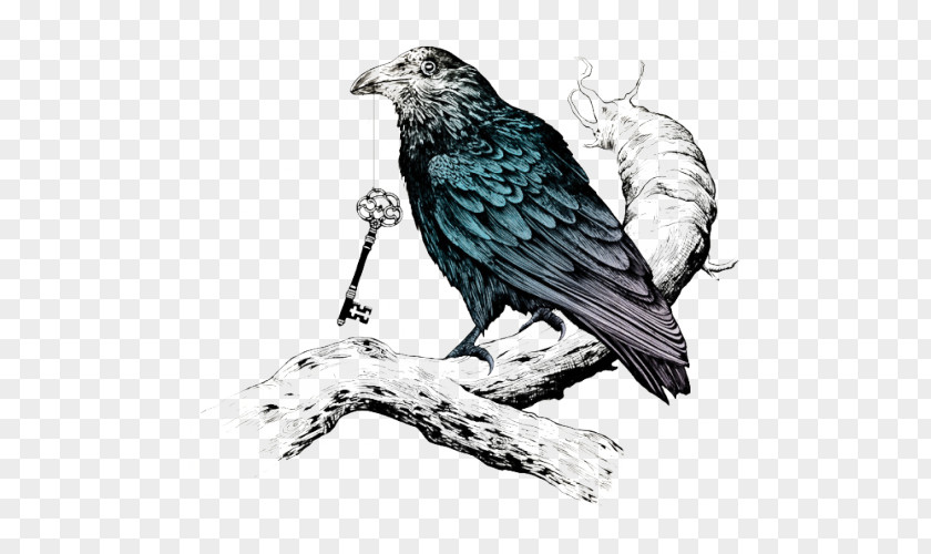 Crow Family Common Raven Tattoo Raven's Key PNG