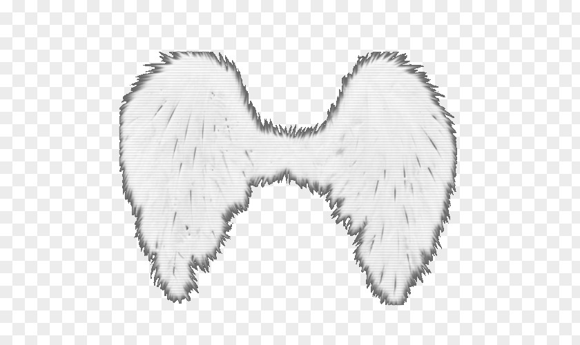 Feather Fur Tail White PNG
