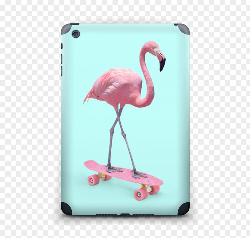 Flamingos Kollwitz Internet Graphic Designer PNG