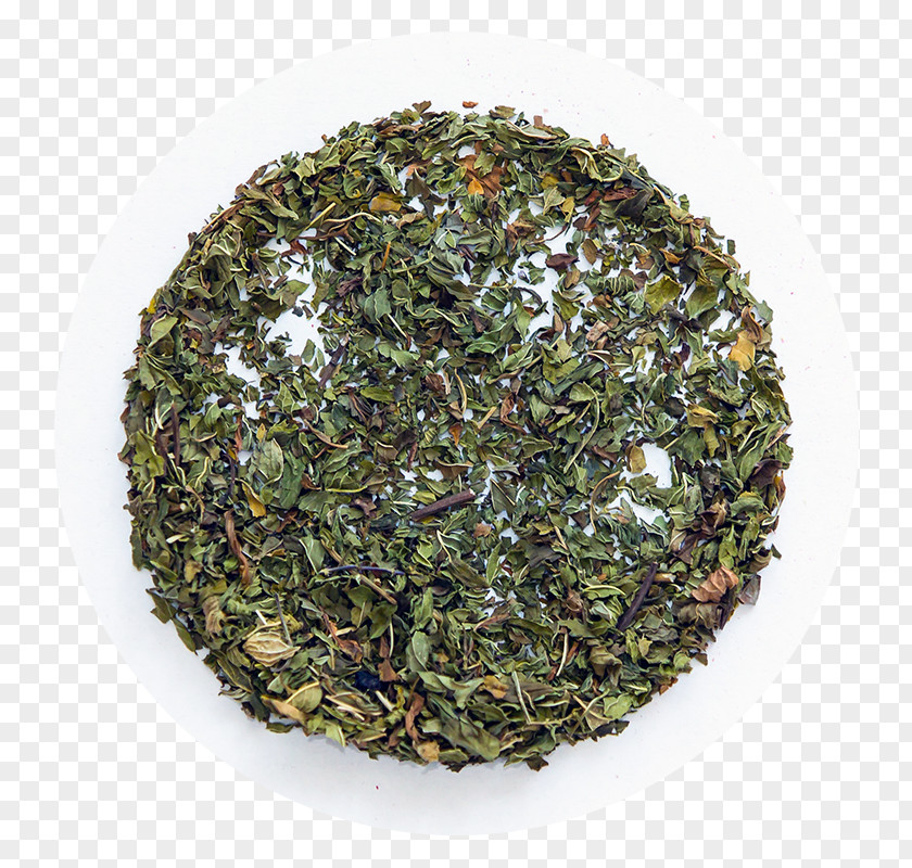 Green Tea Tieguanyin Nilgiri Matcha PNG