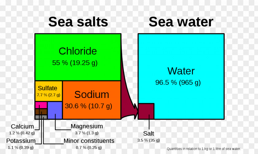 Sea Temperature Salinity Diagram Seawater Ocean PNG