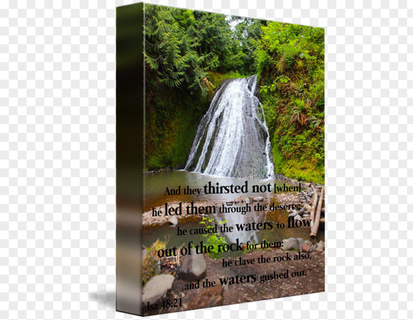 Waterfall Scenery Nature Reserve Quotation Water Resources PNG