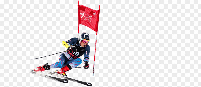 Alpine Led Sled United States Of America Skiing Ski Bindings Paralympic Games PNG
