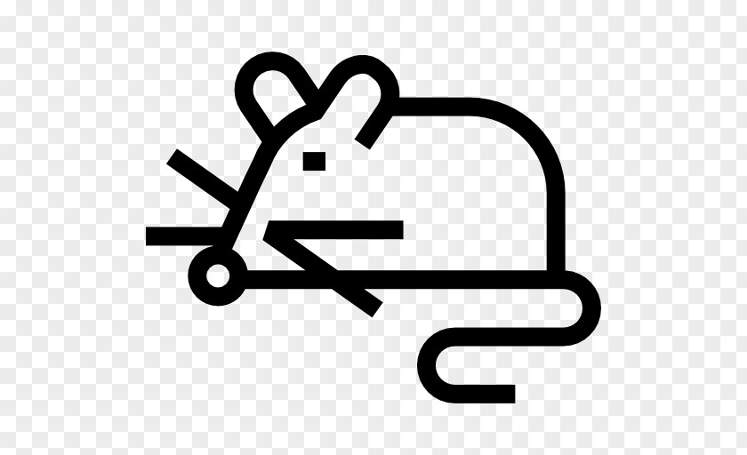 Computer Mouse Rodent Clip Art PNG