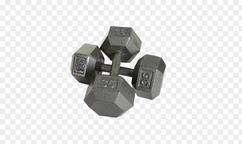 Dumbbells Dumbbell Barbell Weight Training Exercise Equipment Physical PNG