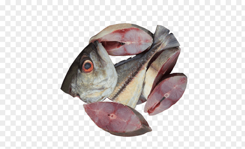 Fish Products Cod Oily Mackerel Salted PNG