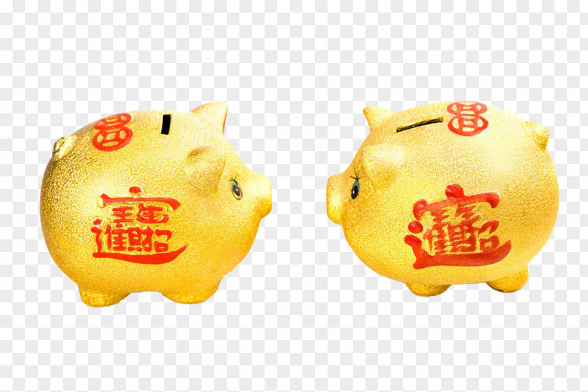 Golden Piggy Bank HQ Pictures Domestic Pig Designer PNG