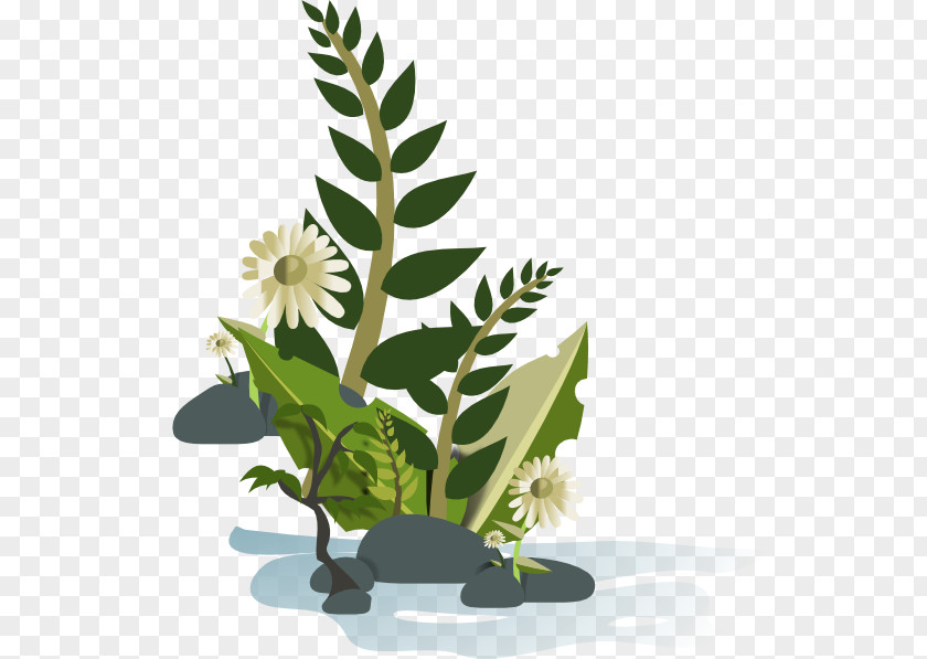 Green Plant Funeral Flower Wreath Clip Art PNG