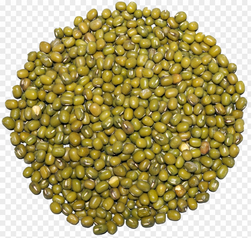 Mung Legume Vegetarian Cuisine Bean Lentil PNG