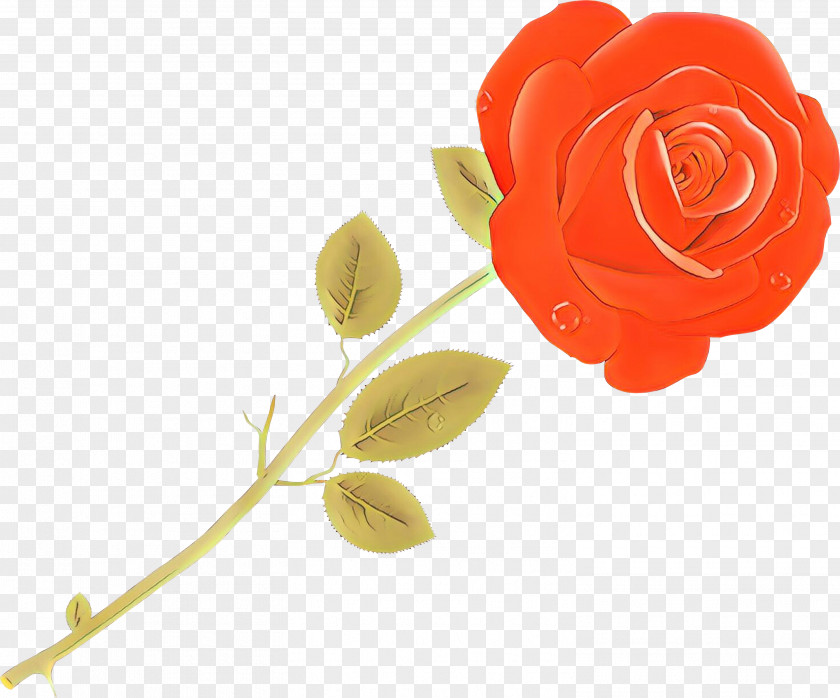 Pedicel Garden Roses PNG