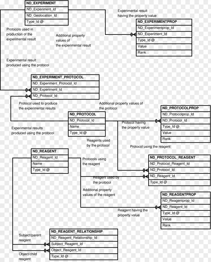 Protocol Document Diagram Entity–relationship Model Japanese Tea Ceremony Drawing PNG
