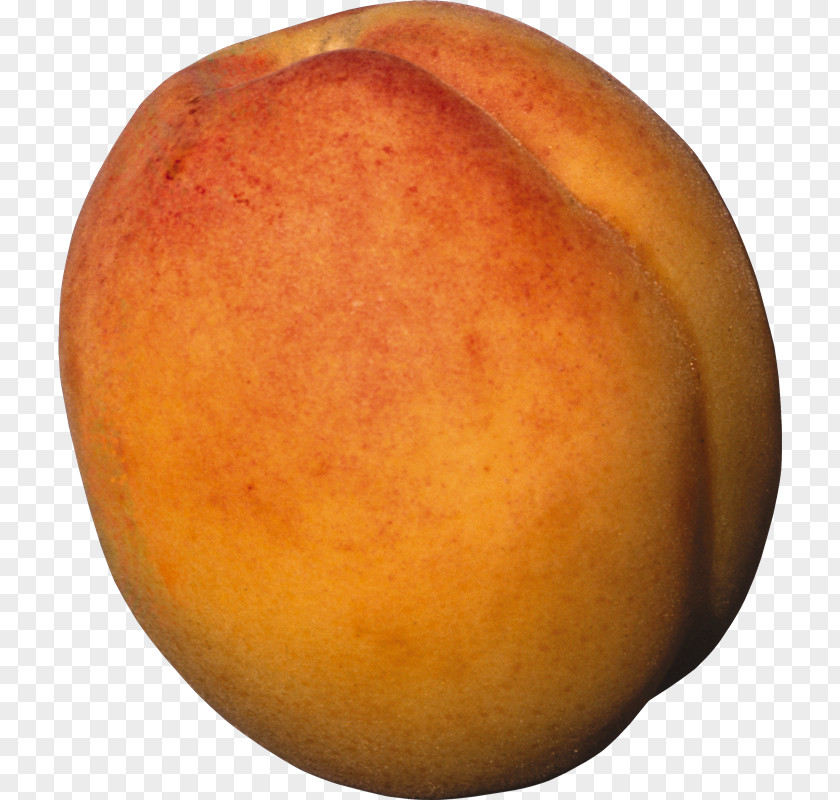 Apricot Nectarine Graphics Software Clip Art PNG