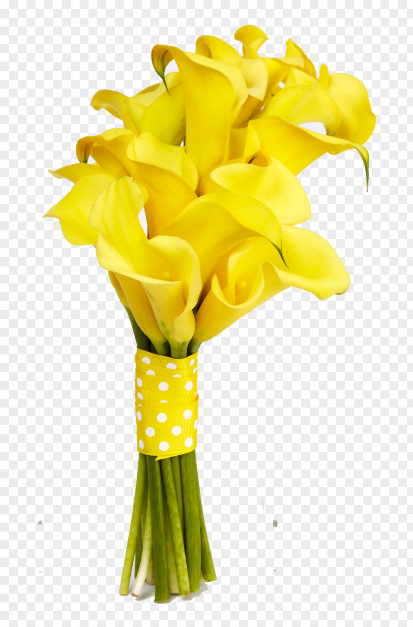 Callalily Flower Bouquet Birthday Wedding Floristry PNG