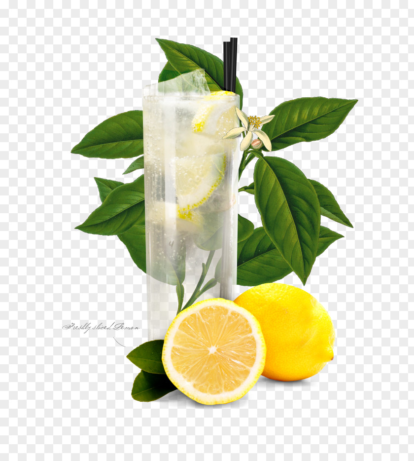 Lemon Lemonade Tom Collins Gin Cocktail Garnish PNG
