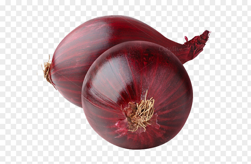 Red Onion Image Vegetable Food PNG