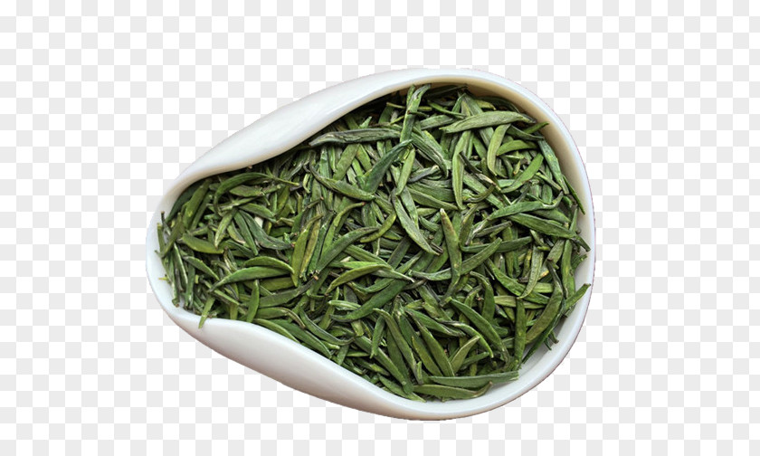Tea Mountain Green Xinyang Maojian Iced PNG