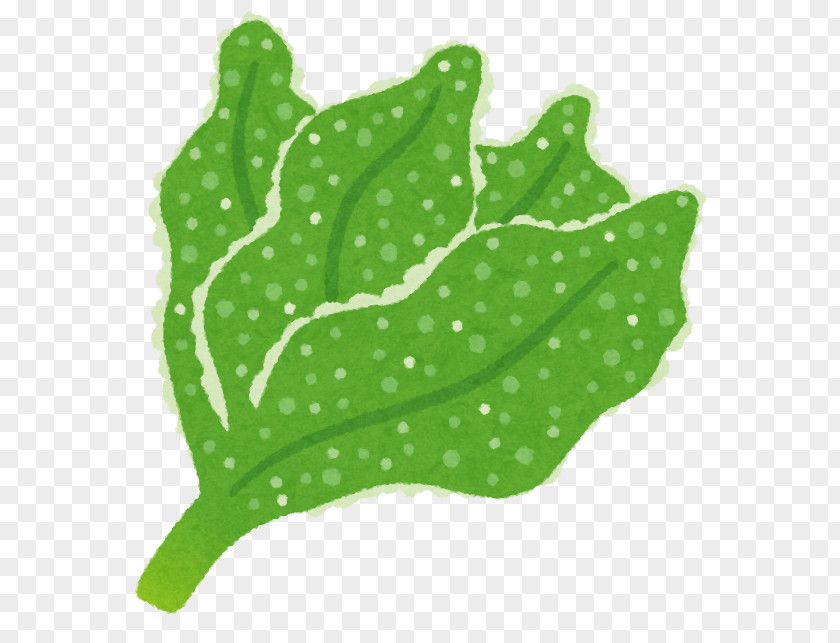 Vegetable Common Iceplant Pinitol Leaf PNG