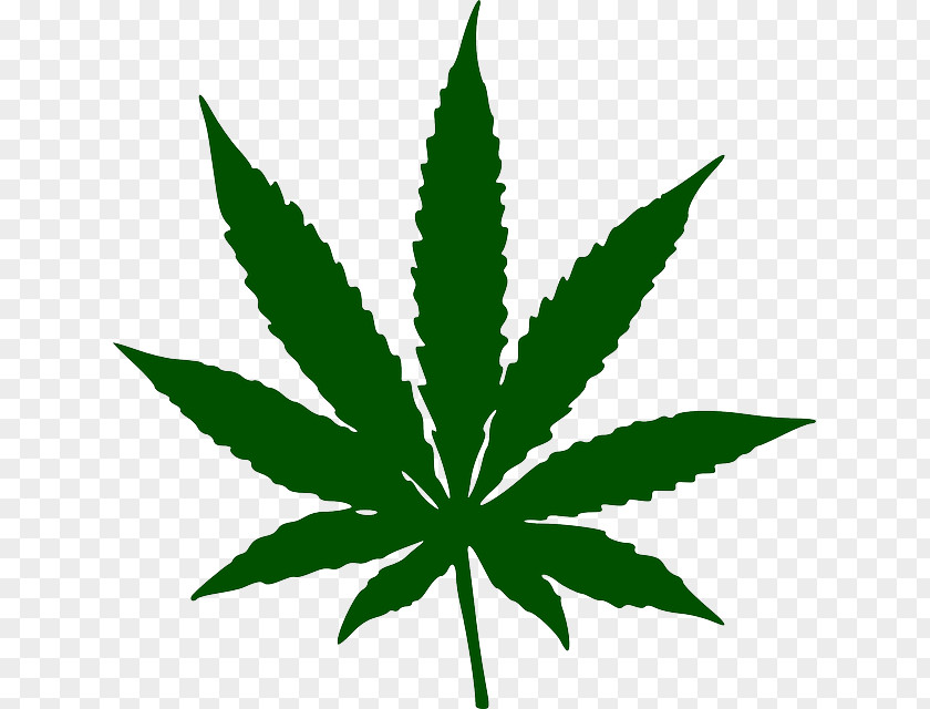Cannabis Sativa Marijuana Leaf Clip Art PNG