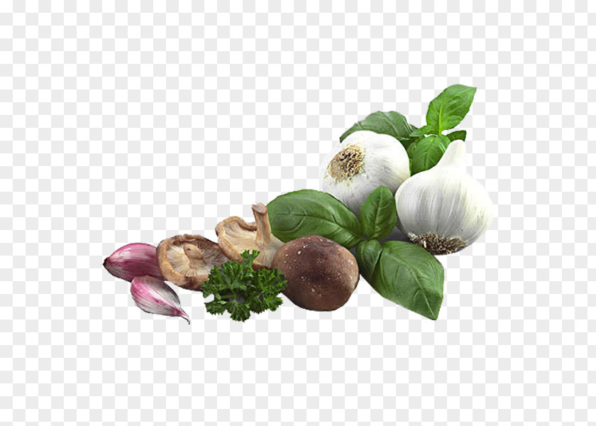 Common Kitchen Dishes Zhangqiu District Vegetable Garlic Allium Fistulosum Leaf PNG