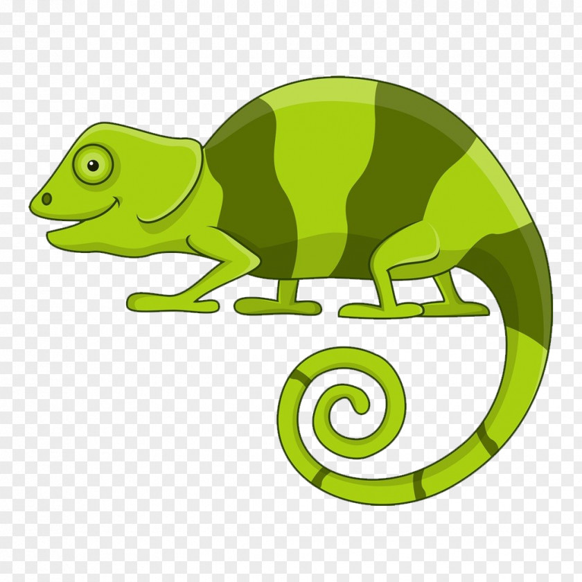 Hand Painted Chameleon Material Chameleons Cartoon Stock Illustration PNG