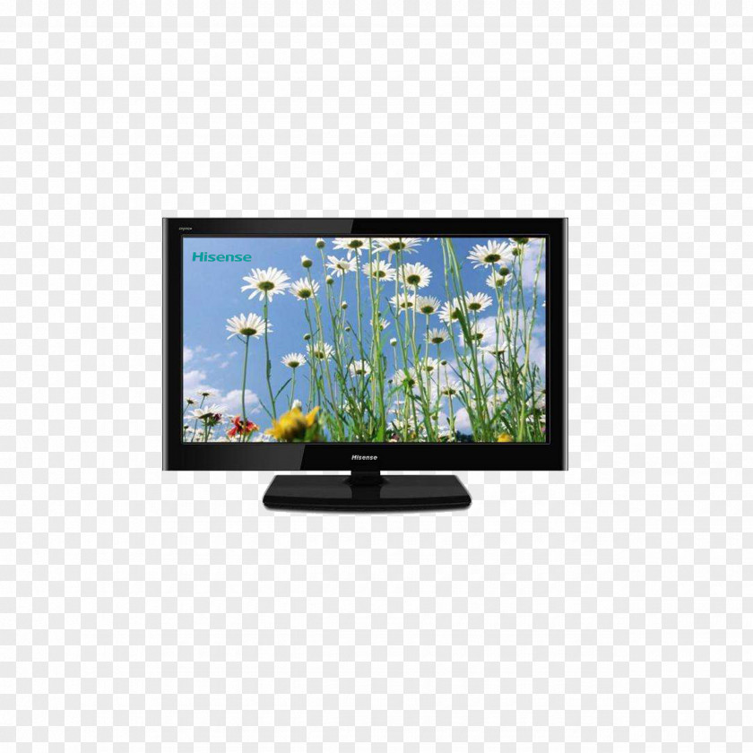 Hisense TV Mobile Phone WUXGA 1080p High-definition Television Super Extended Graphics Array PNG