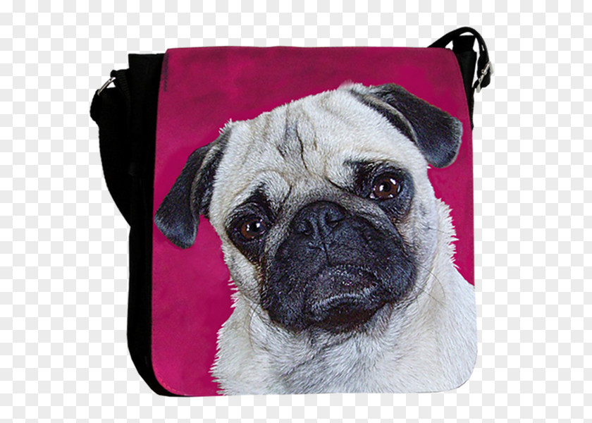 Puppy Pug Dog Breed Toy Snout PNG